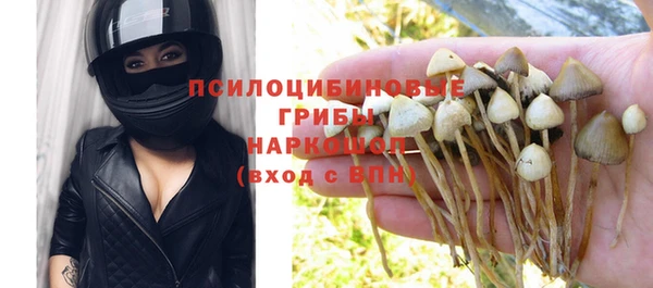винт Богородск