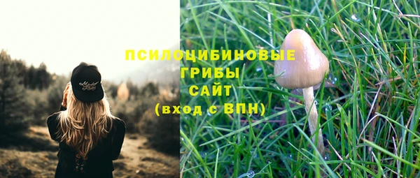 кокс Богородицк