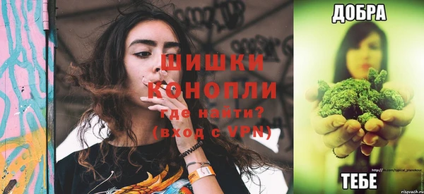 кокс Богородицк