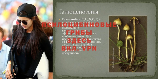 а пвп мука Богданович