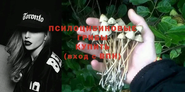 а пвп мука Богданович