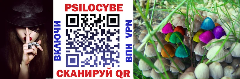 Галлюциногенные грибы прущие грибы  Курган 